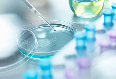 立（lì）式螺帶混（hún）合機的應用